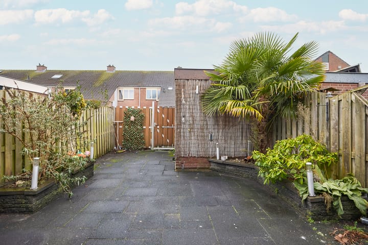 Photo 5 of Pieter van Hemerenplantsoen 8