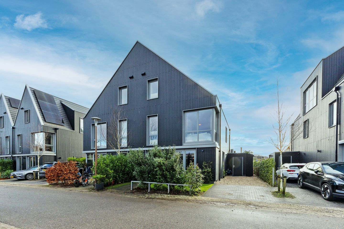 Foto 5 van IJsvogel 49