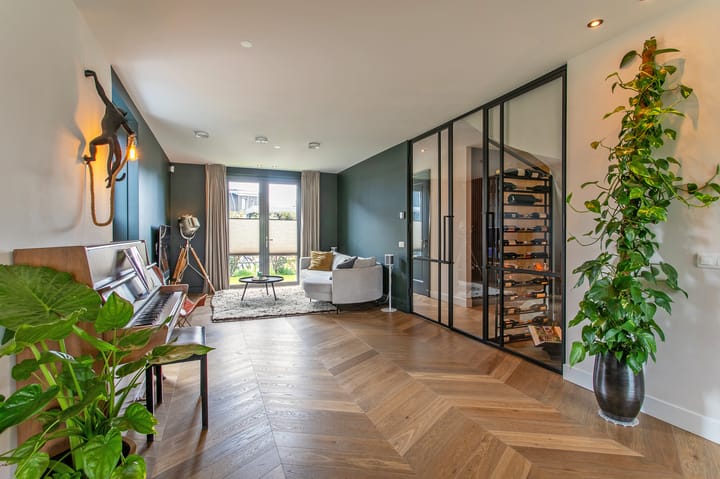 Foto 6 van IJsvogel 49