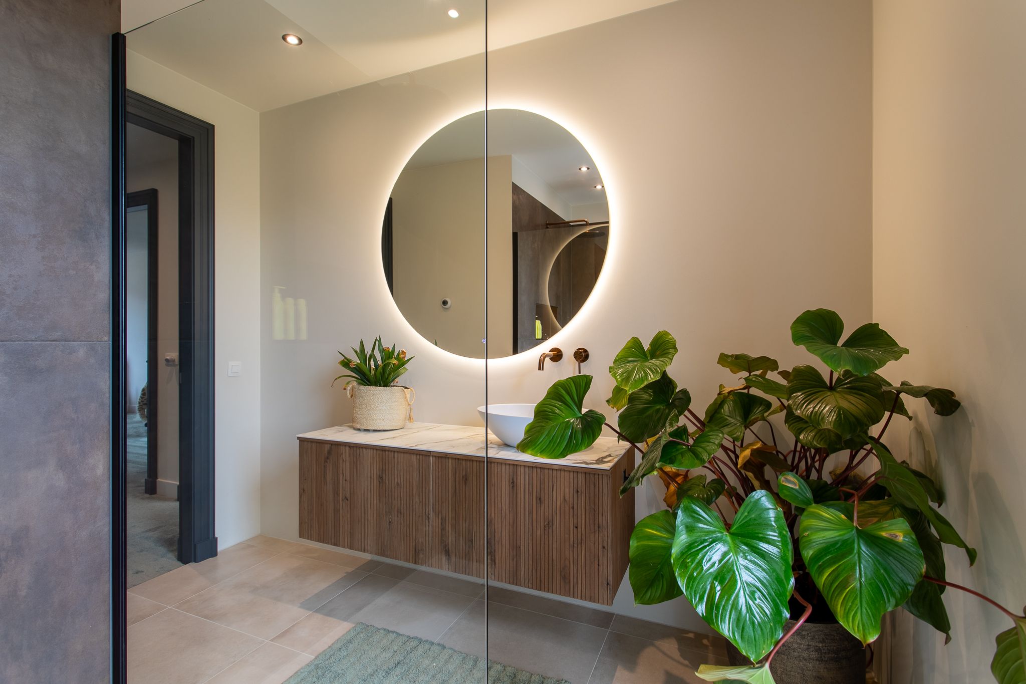 Foto 24 van IJsvogel 49