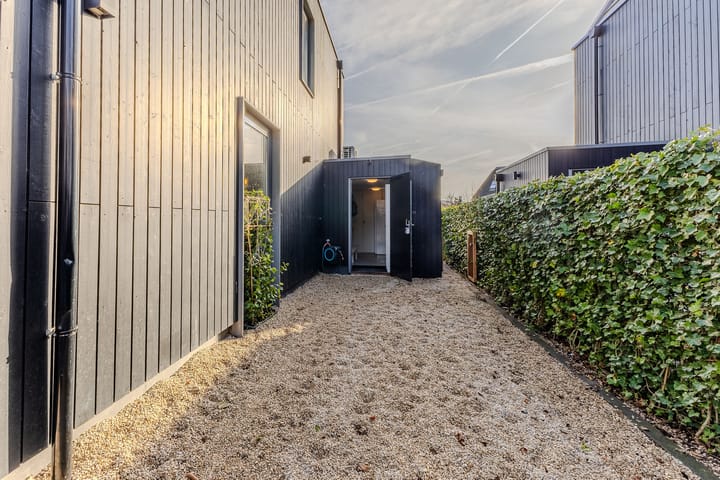 Foto 32 van IJsvogel 49