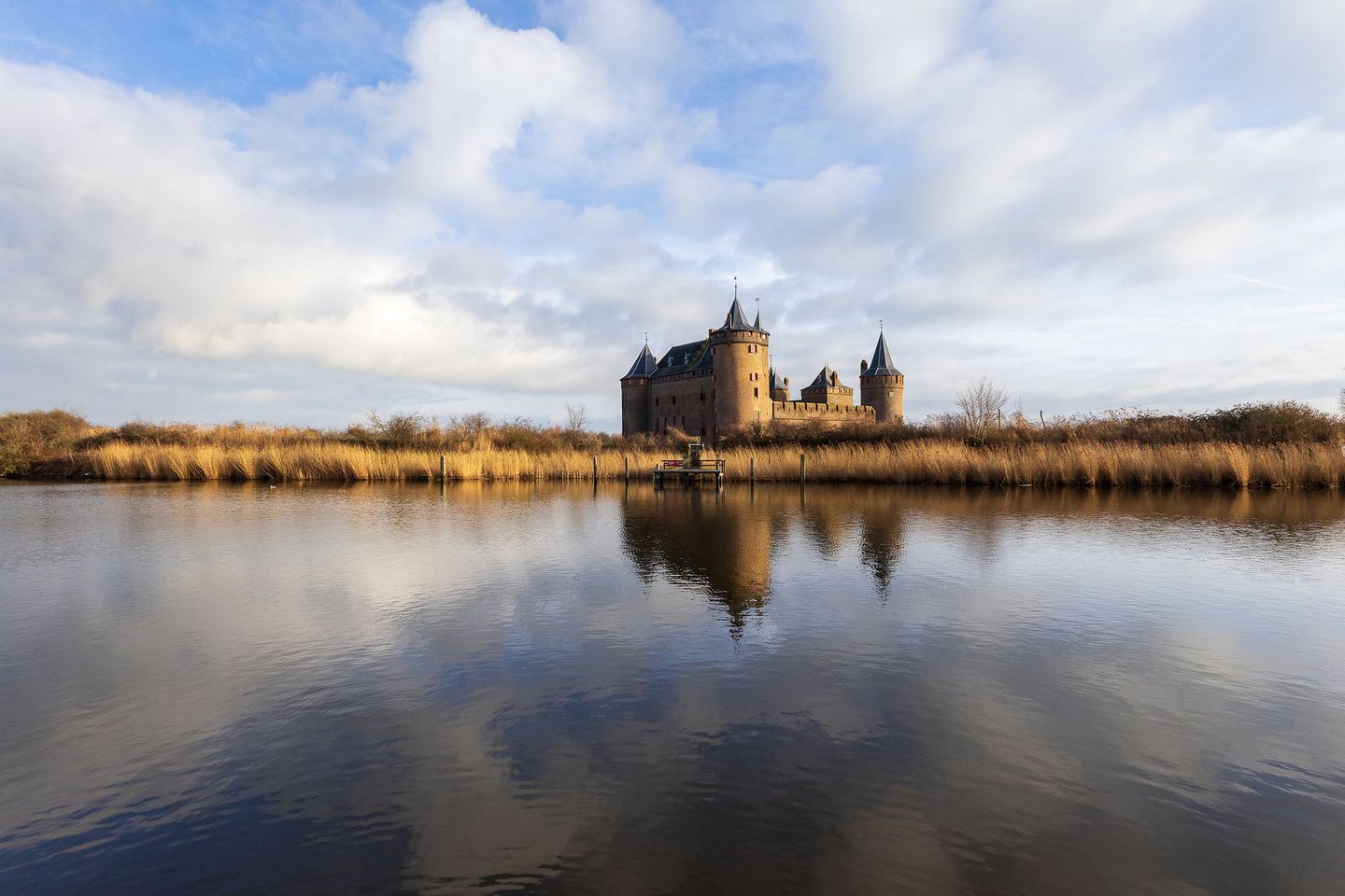 Foto 35 van IJsvogel 49