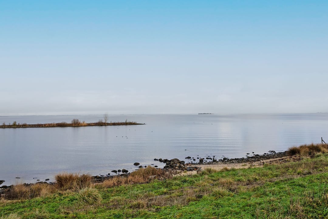 Foto 37 van IJsvogel 49