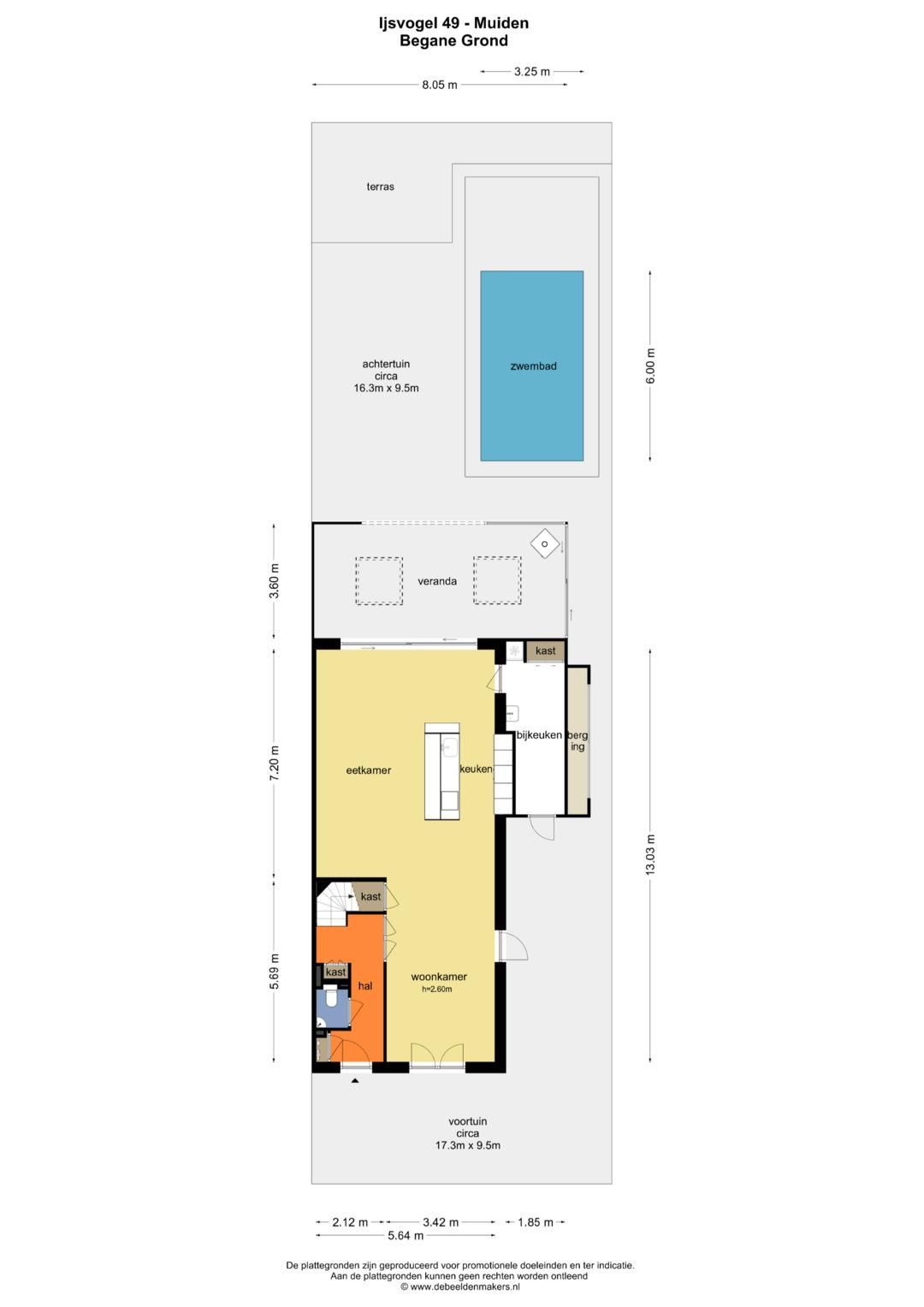 Foto 41 van IJsvogel 49