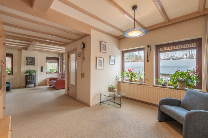 Foto 10 van Daniken 5