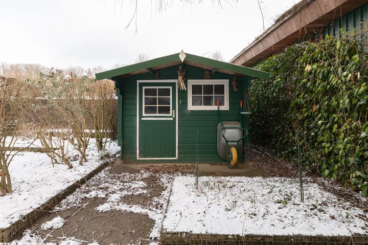 Foto 45 van Daniken 5