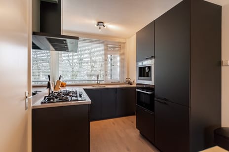 Jan Roeckplantsoen 50-02 tertiary image