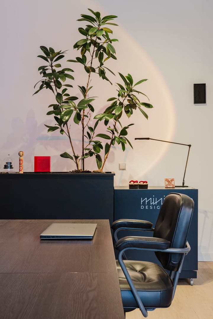 Foto 9 van Molenveld 2