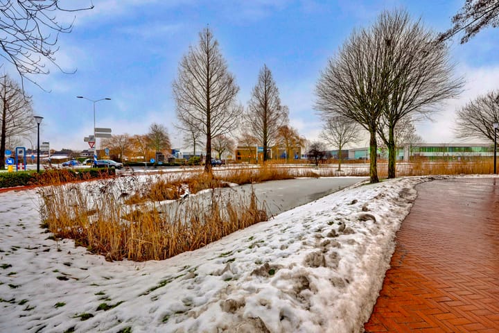 Photo 38 of Lijsterbeswede 79