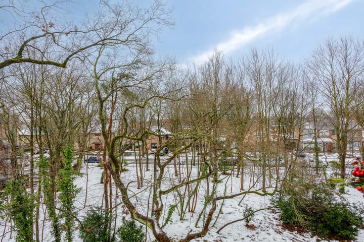 Photo 9 of Anna van Burenlaan 74