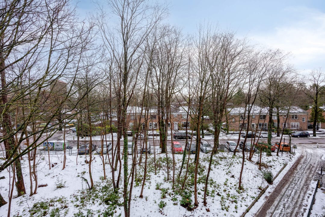 Foto 28 van Anna van Burenlaan 74