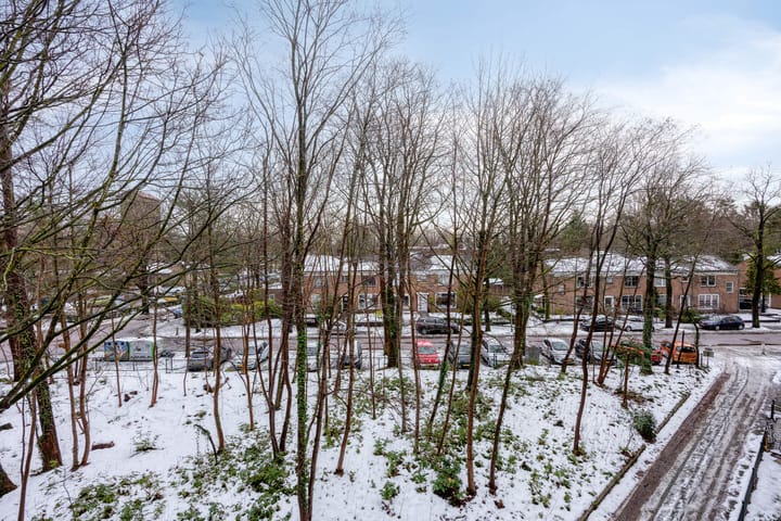 Photo 28 of Anna van Burenlaan 74