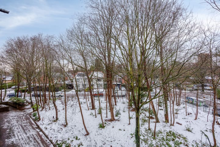 Photo 29 of Anna van Burenlaan 74