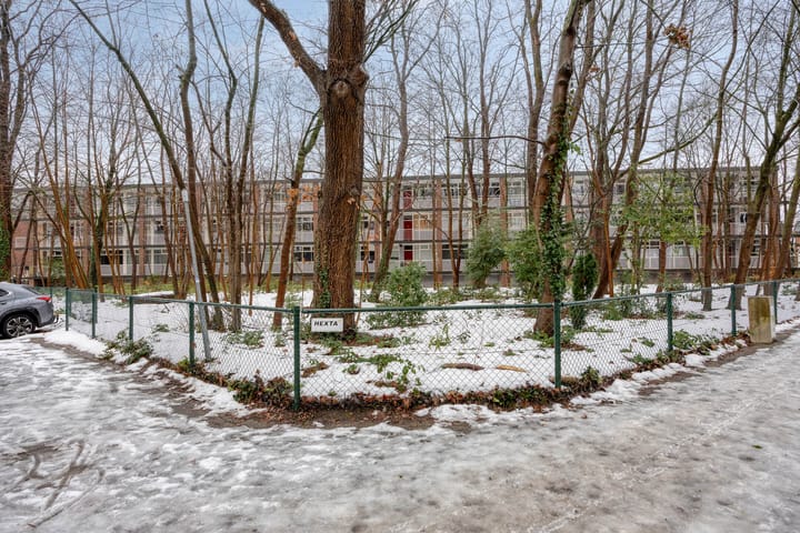 Photo 30 of Anna van Burenlaan 74