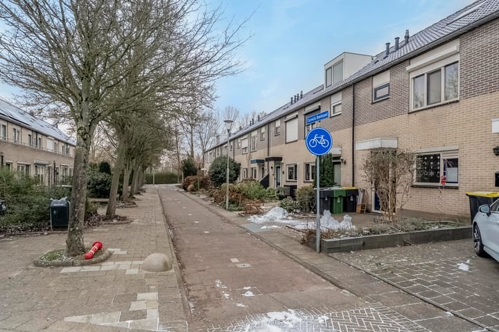 Foto 5 van Cornelis Boekepad 10