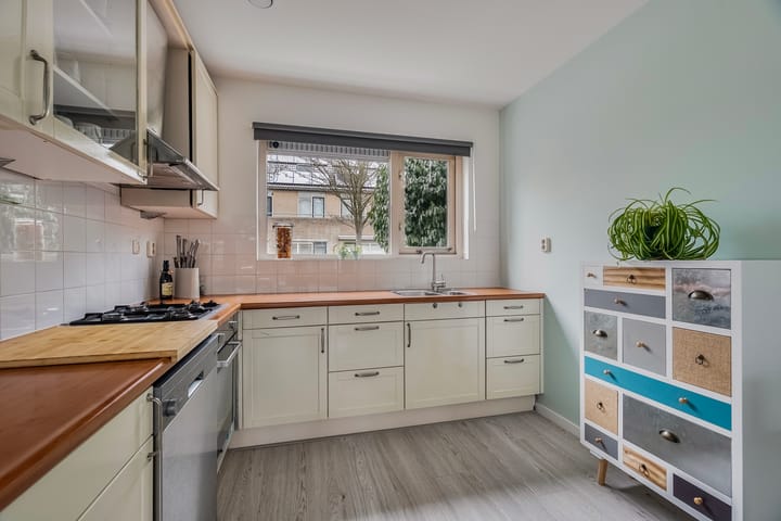 Foto 18 van Cornelis Boekepad 10