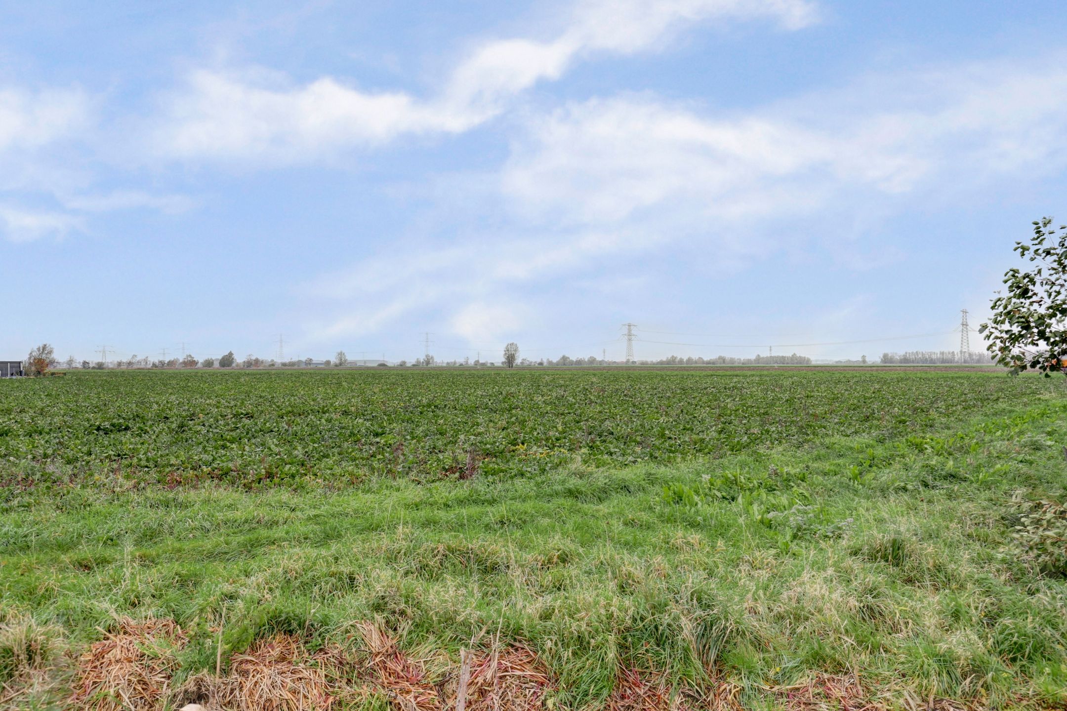 Foto 33 van Mookhoek 51