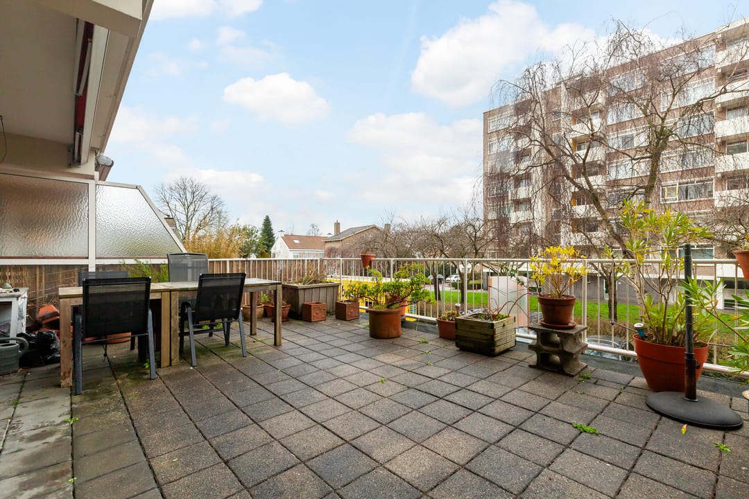 Foto 1 van Suzannaland 188