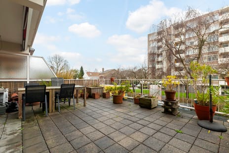 Suzannaland thumbnail