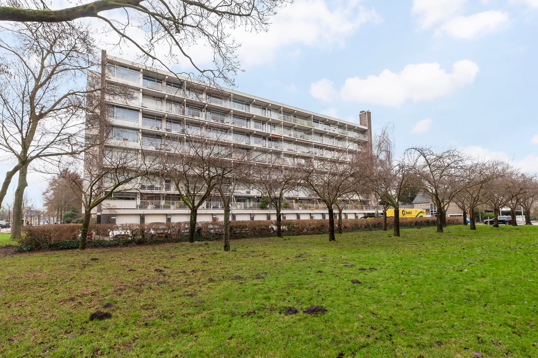 Foto 2 van Suzannaland 188