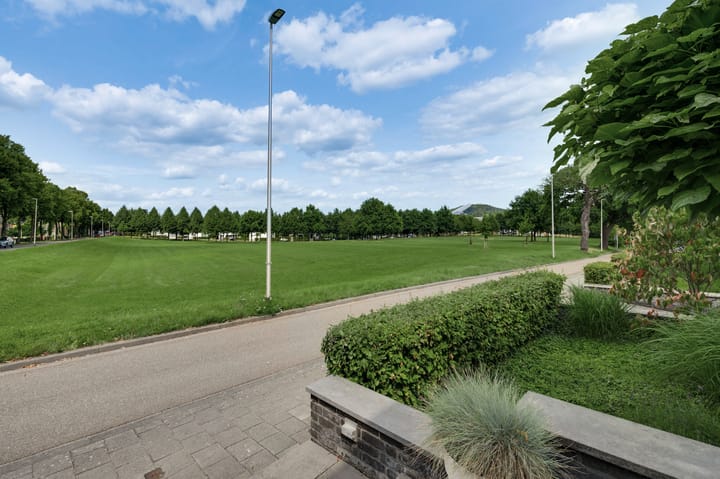 Foto 5 van Hondsdraf 2