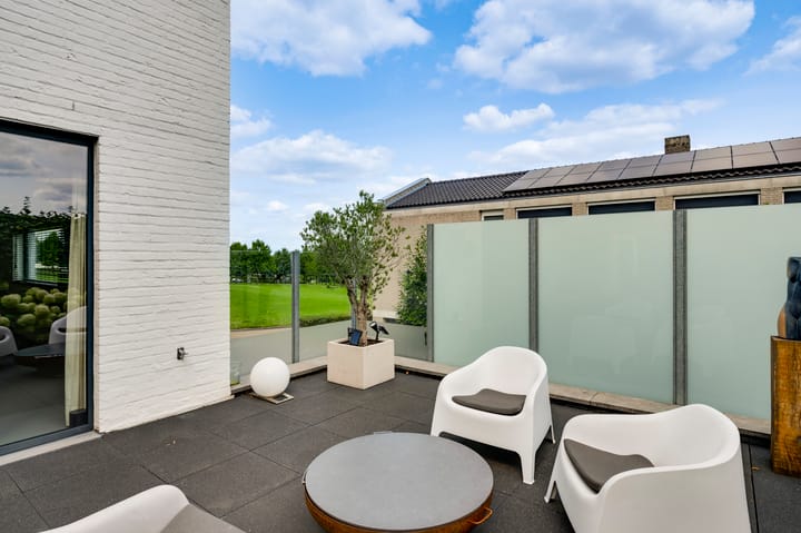 Foto 14 van Hondsdraf 2