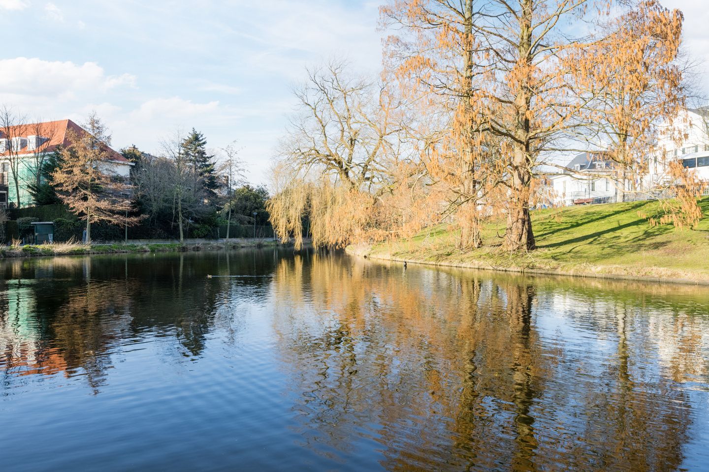 Foto 50 van Groot Hertoginnelaan 31