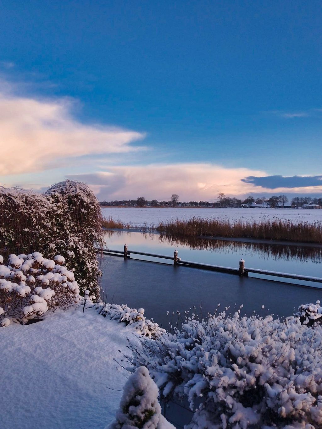 Photo 41 of Skûtsje 60