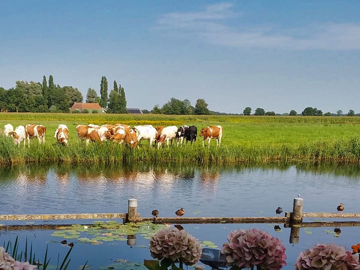 Foto 52 van Skûtsje 60