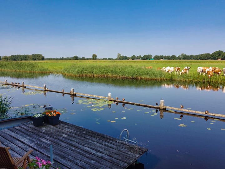 Foto 53 van Skûtsje 60