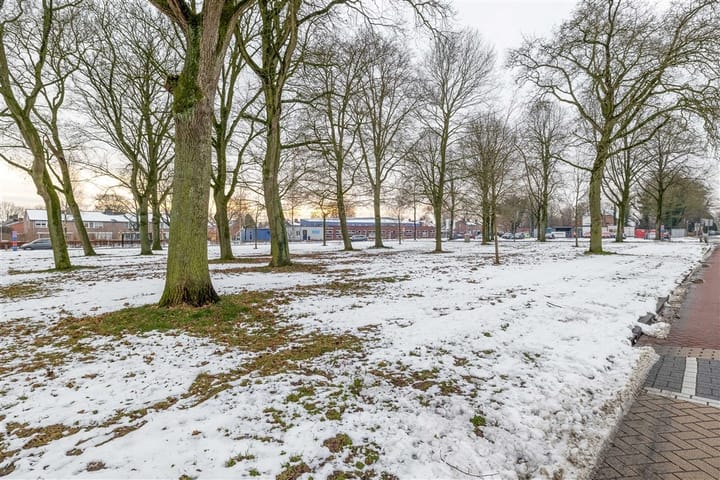 Foto 39 van Minervastraat 98