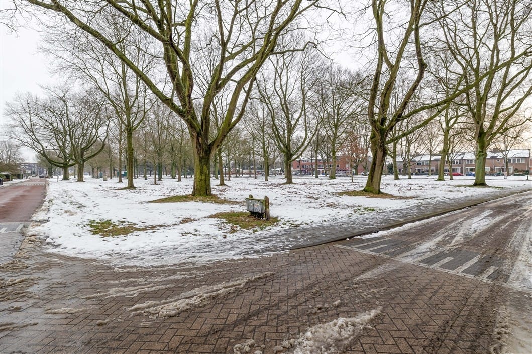 Photo 40 of Minervastraat 98