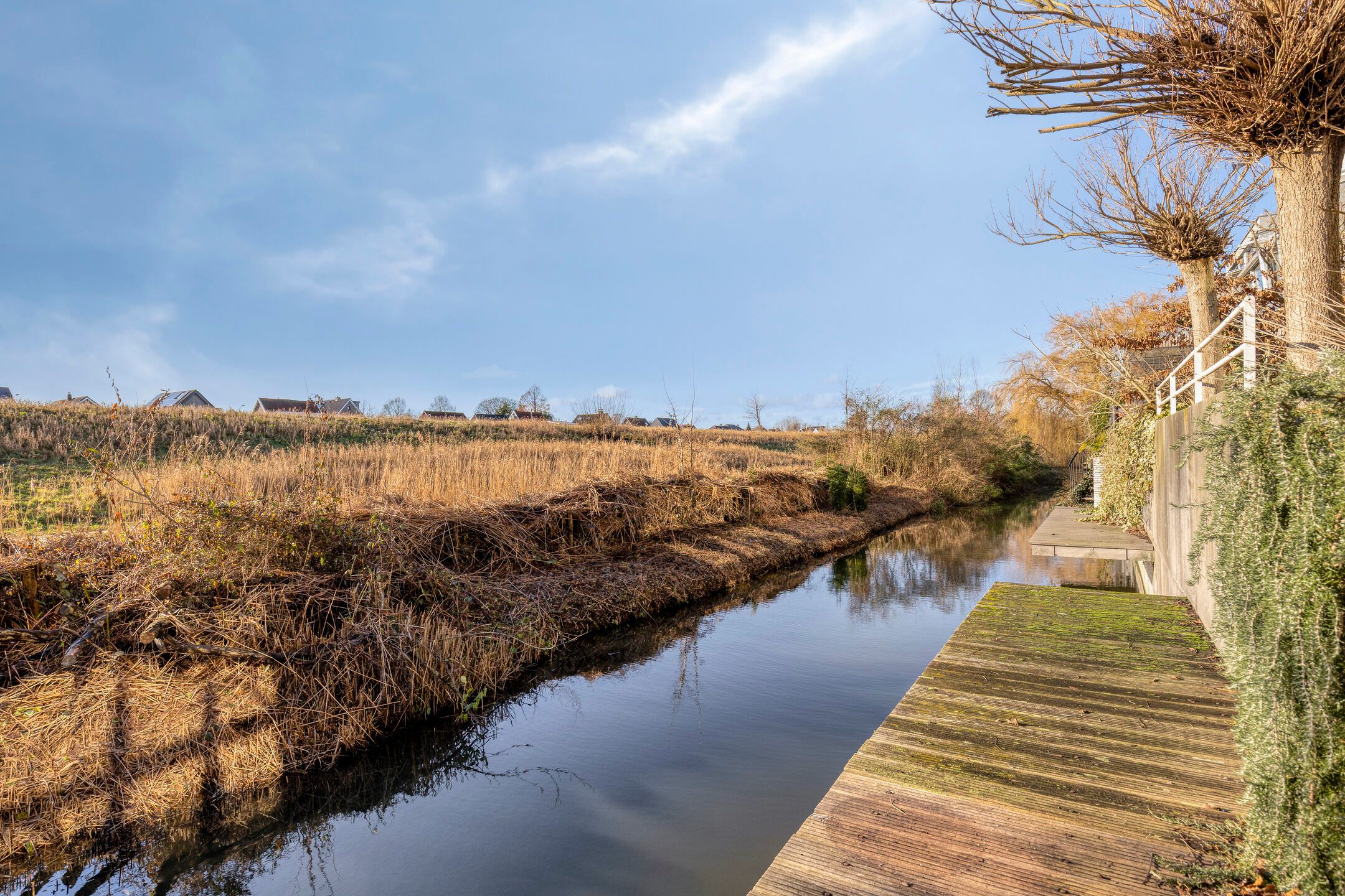 Foto 12 van Pyreneeën 5