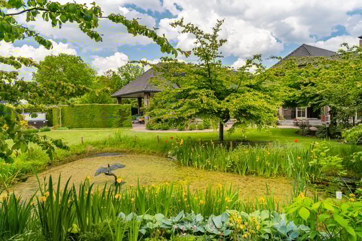 Foto 49 van Bulkseweg 41