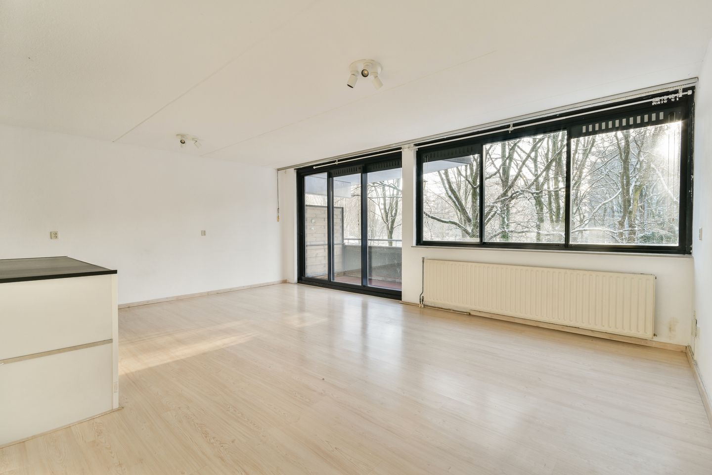 Foto 4 van Wittgensteinlaan 291