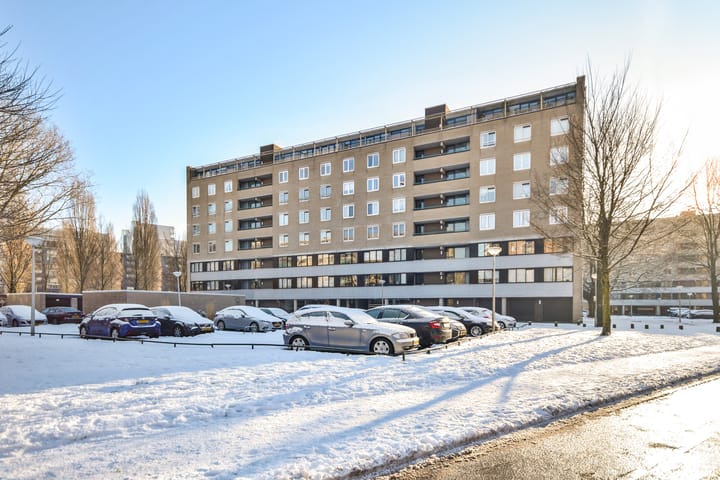 Wittgensteinlaan 291