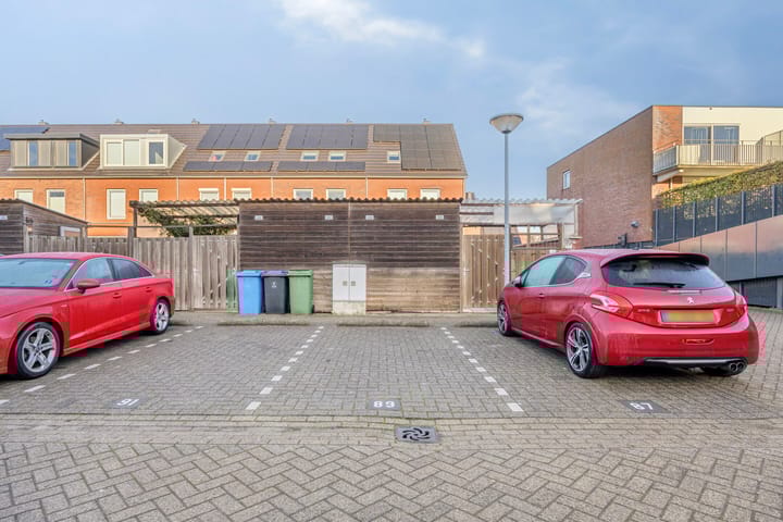 Photo 19 of Weegbree 89