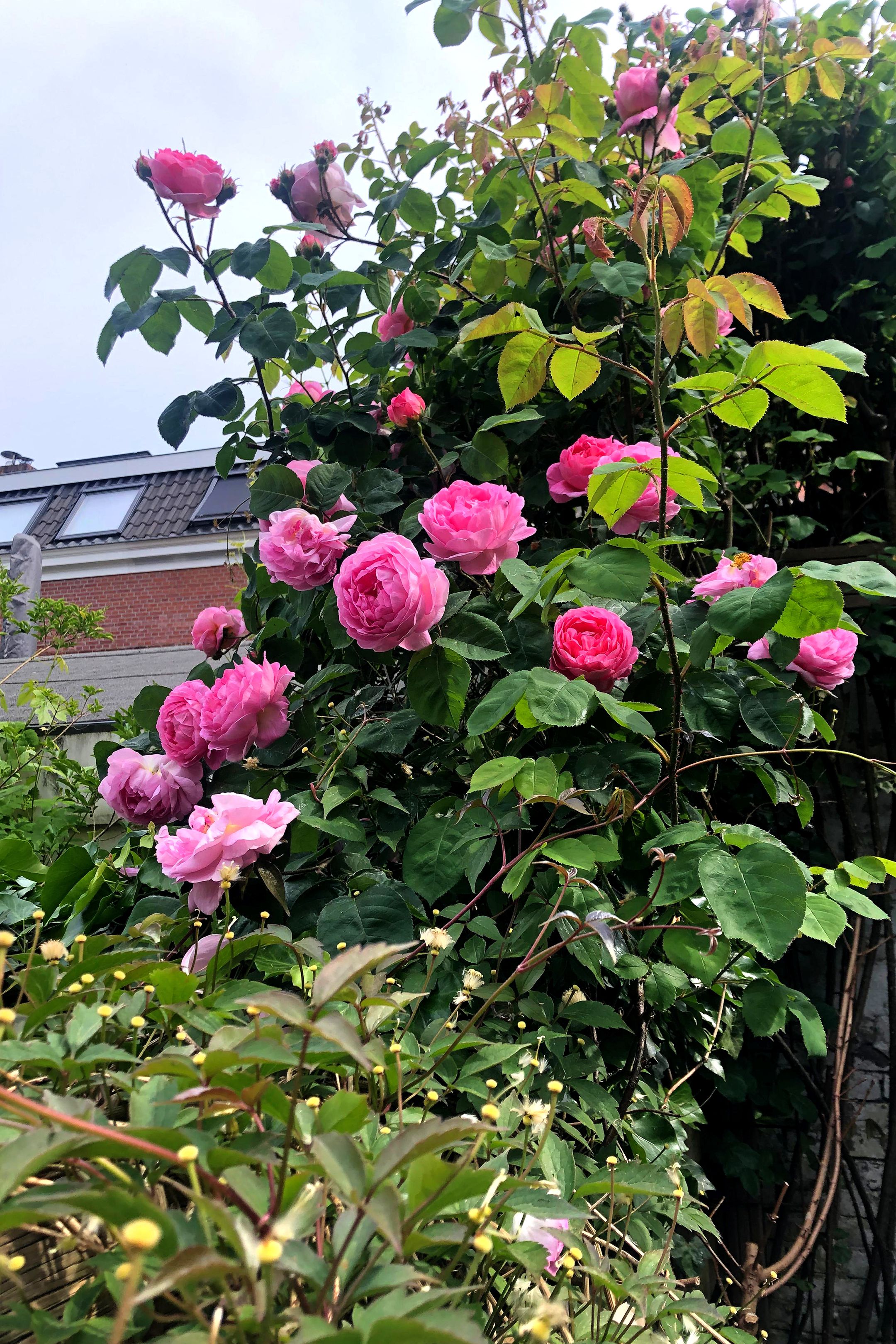 Photo 18 of Poortstraat 89