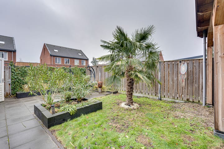 Foto 26 van Negen Gemeten 13