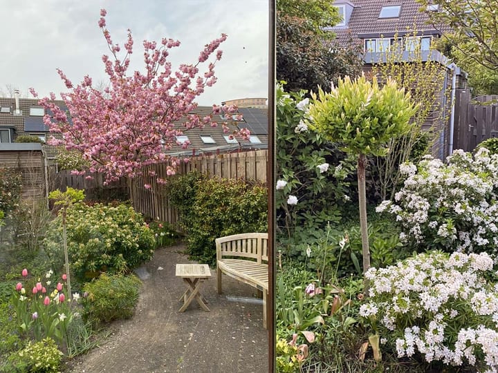 Foto 27 van Grimbergenstraat 32