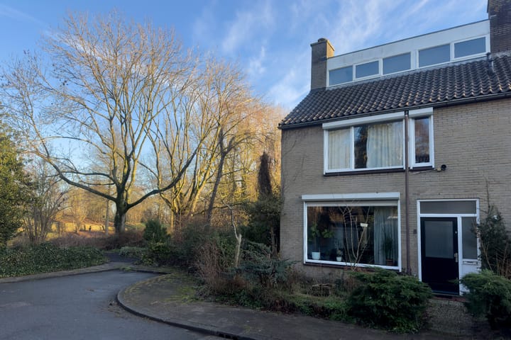 Foto 37 van Maniladreef 6