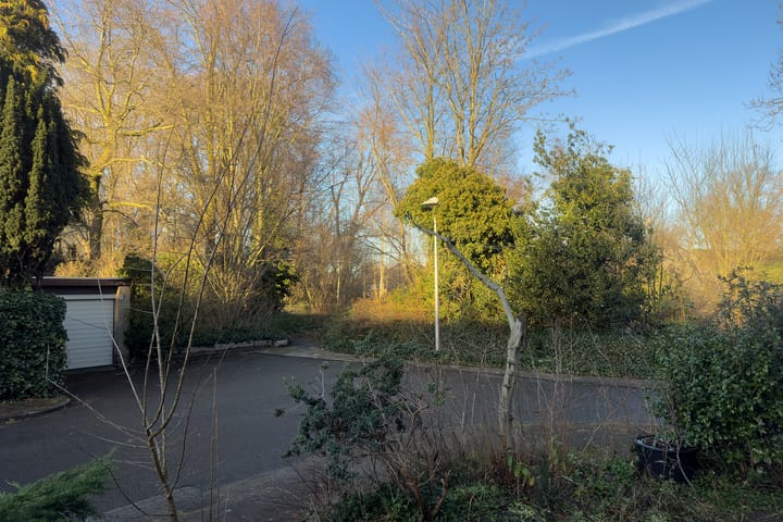 Foto 39 van Maniladreef 6