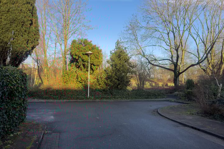 Foto 38 van Maniladreef 6