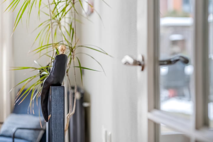 Foto 13 van de Lingert 5609