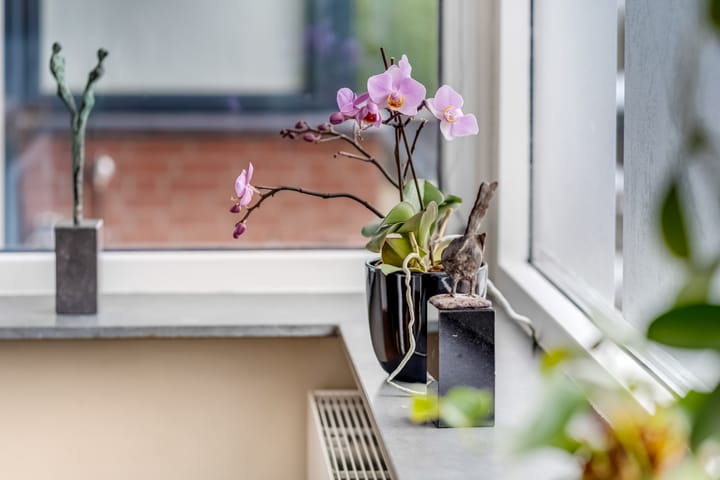 Foto 12 van de Lingert 5609