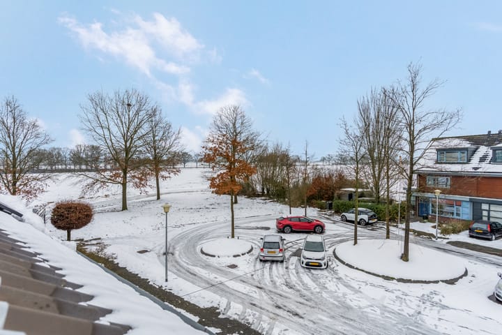 Foto 47 van de Lingert 5609