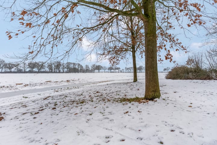 Foto 50 van de Lingert 5609