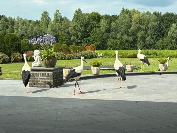 Foto 65 van Mijlstraat 66