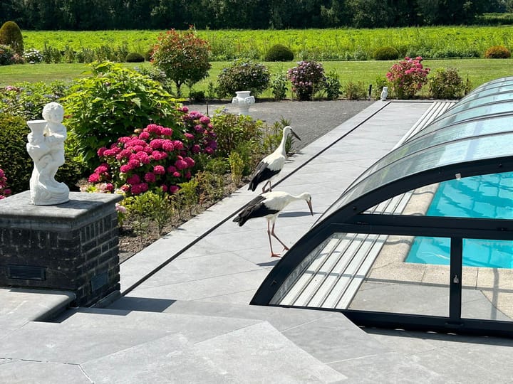 Foto 77 van Mijlstraat 66