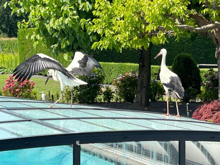 Foto 90 van Mijlstraat 66